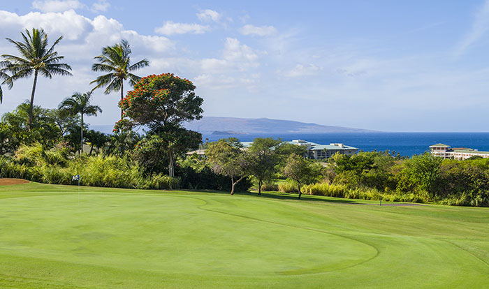 golf-wailea_old_blue_maui_hawaii-25